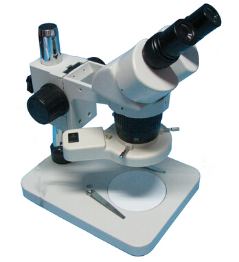 體視顯微鏡，偏光顯微鏡