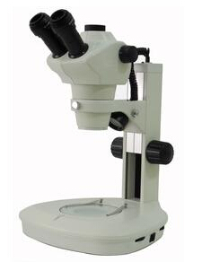 體視顯微鏡，偏光顯微鏡