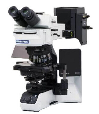 體視顯微鏡，偏光顯微鏡